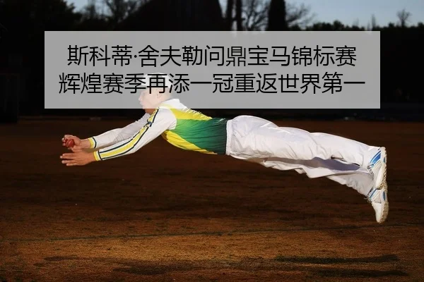 斯科蒂·舍夫勒问鼎宝马锦标赛 辉煌赛季再添一冠重返世界第一